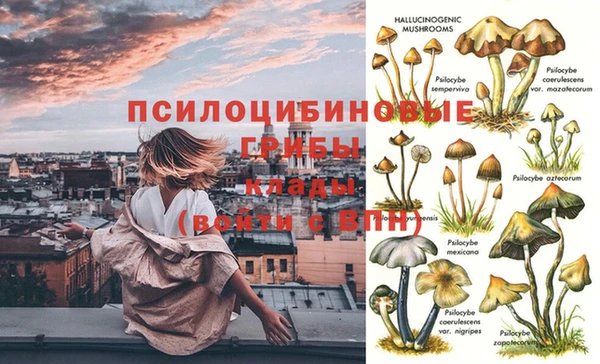 герыч Покачи