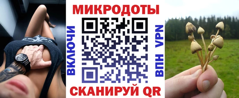 kraken tor  Харовск  Галлюциногенные грибы Psilocybine cubensis  дарнет шоп 